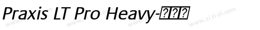 Praxis LT Pro Heavy字体转换